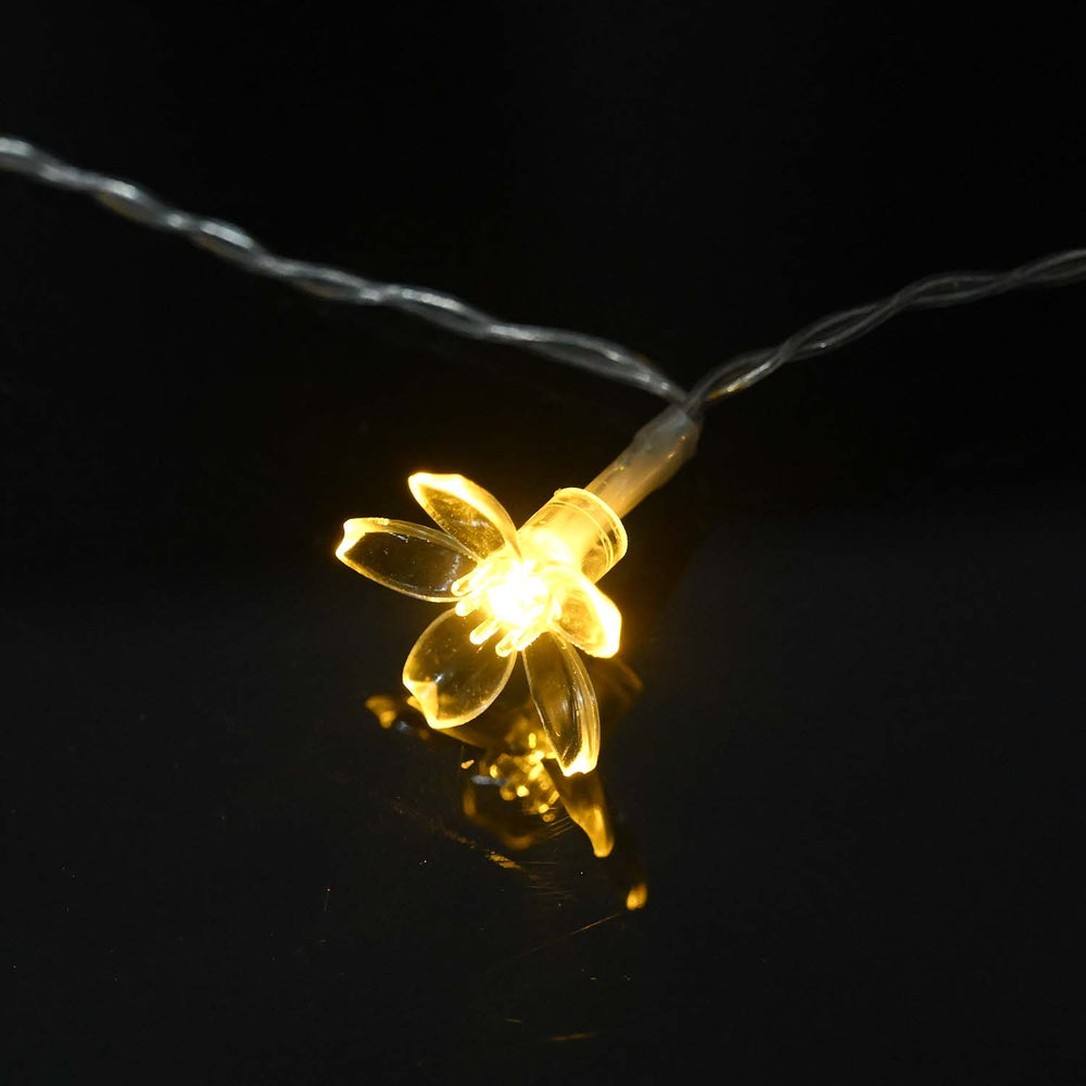 Decorative LED Warm Light | 20PCs