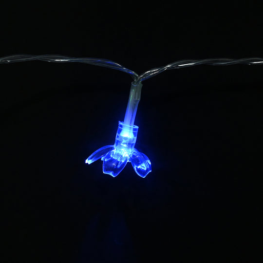 Decorative LED Multi Colors Light | 10PCs