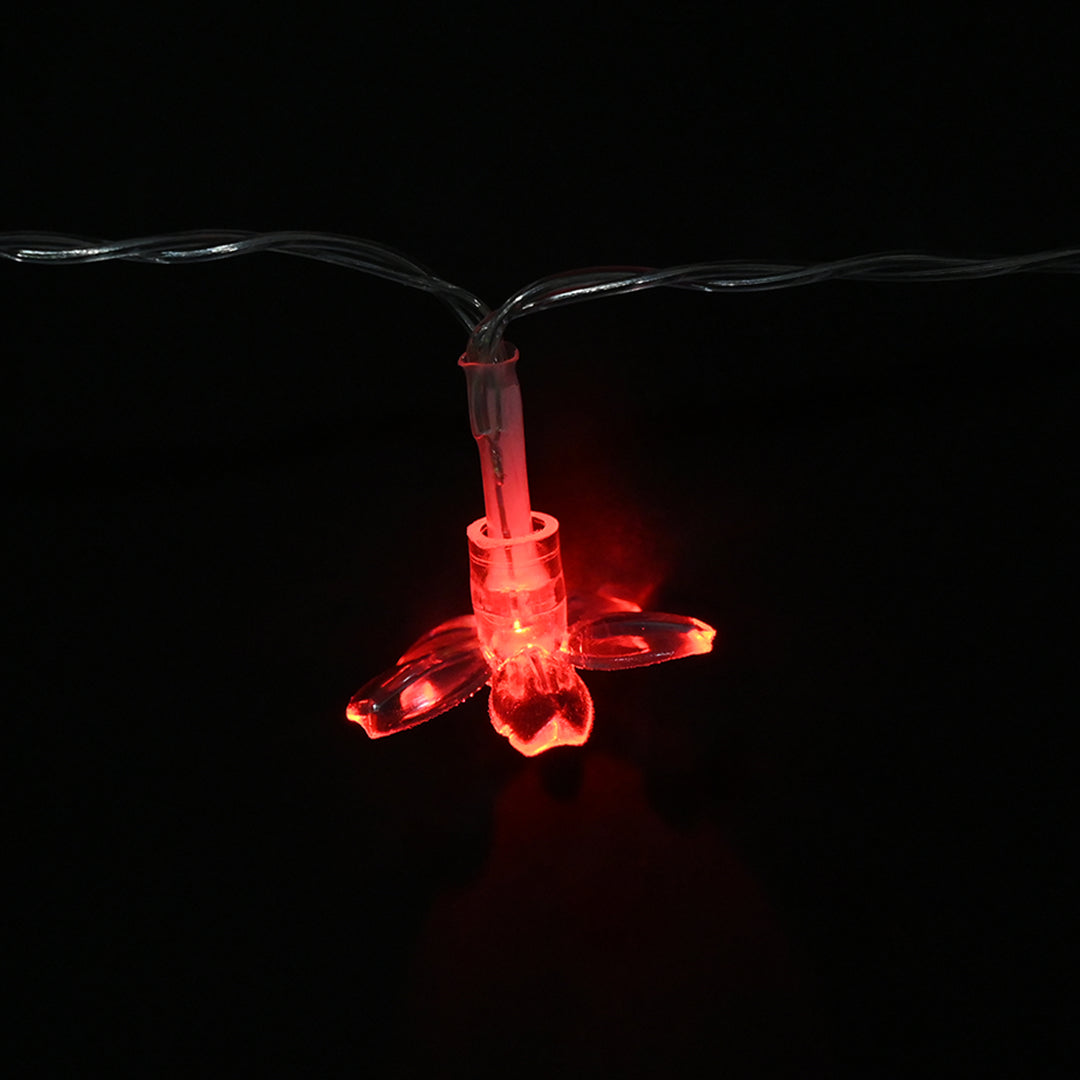 Decorative LED Multi Colors Light | 20PCs