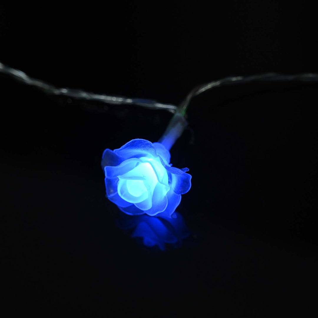 Decorative LED Multi Colors Light | 20PCs