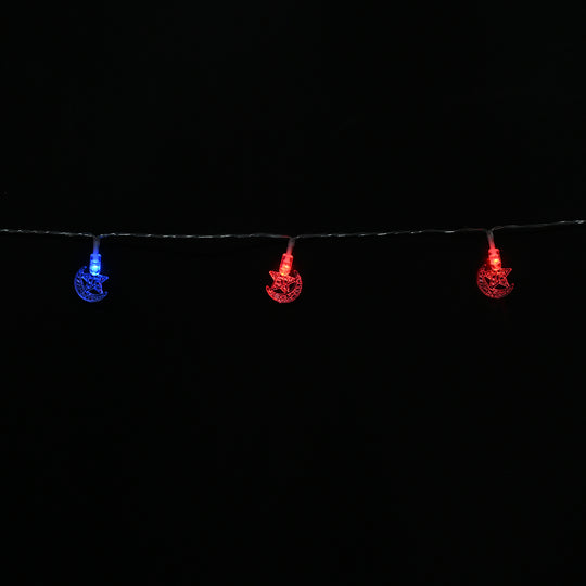 Decorative LED Multi Colors Light | 20PCs