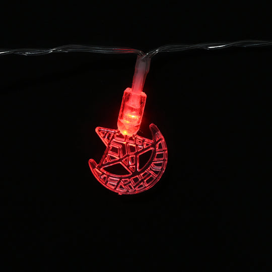 Decorative LED Multi Colors Light | 20PCs