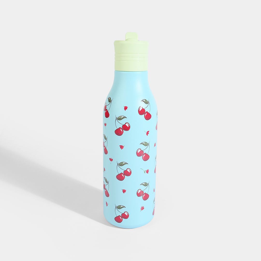Stainless Steel Water Bottle for Kids