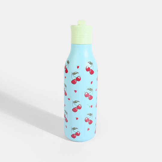 Stainless Steel Water Bottle for Kids