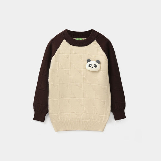 Infant Boys Acrylic Sweater-Panda-Off White