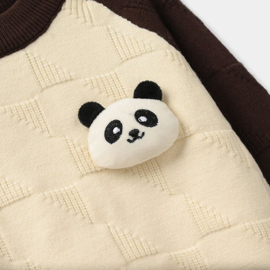 Infant Boys Acrylic Sweater-Panda-Off White