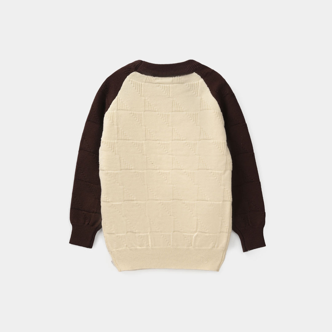 Infant Boys Acrylic Sweater-Panda-Off White