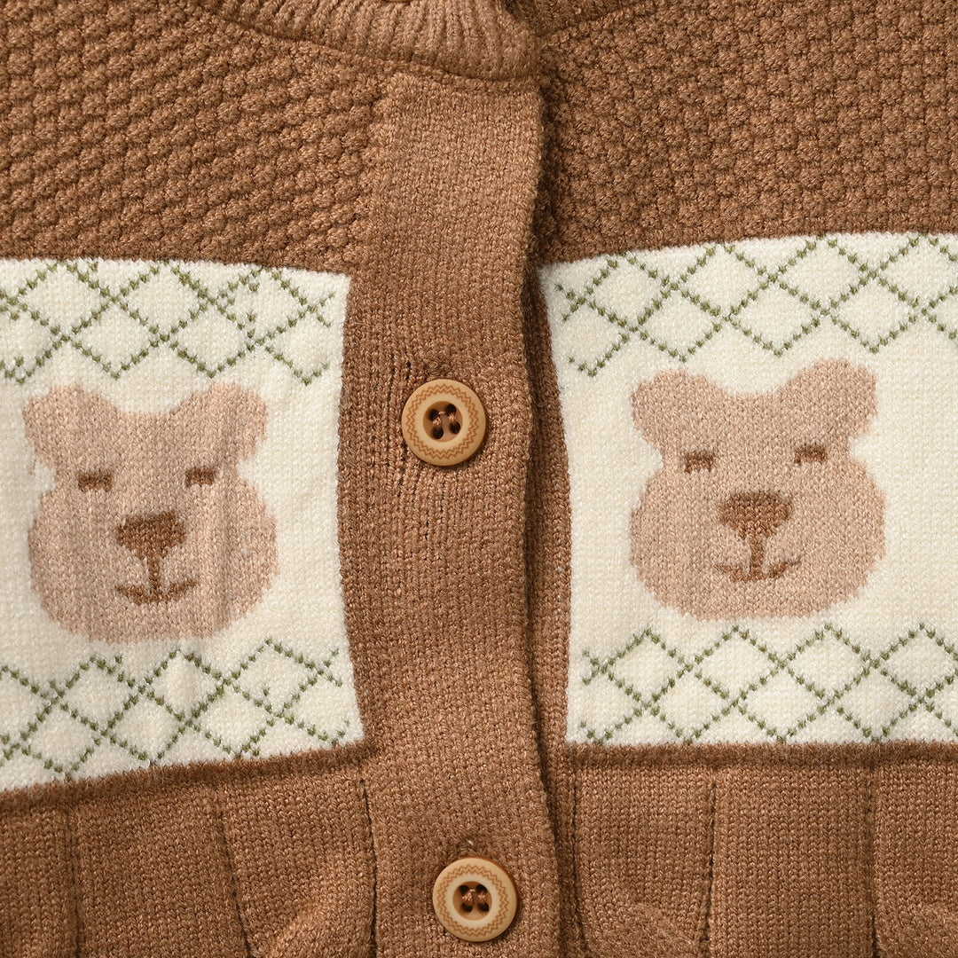 Infant Boys Acrylic sweater-Textured Bear-BROWN