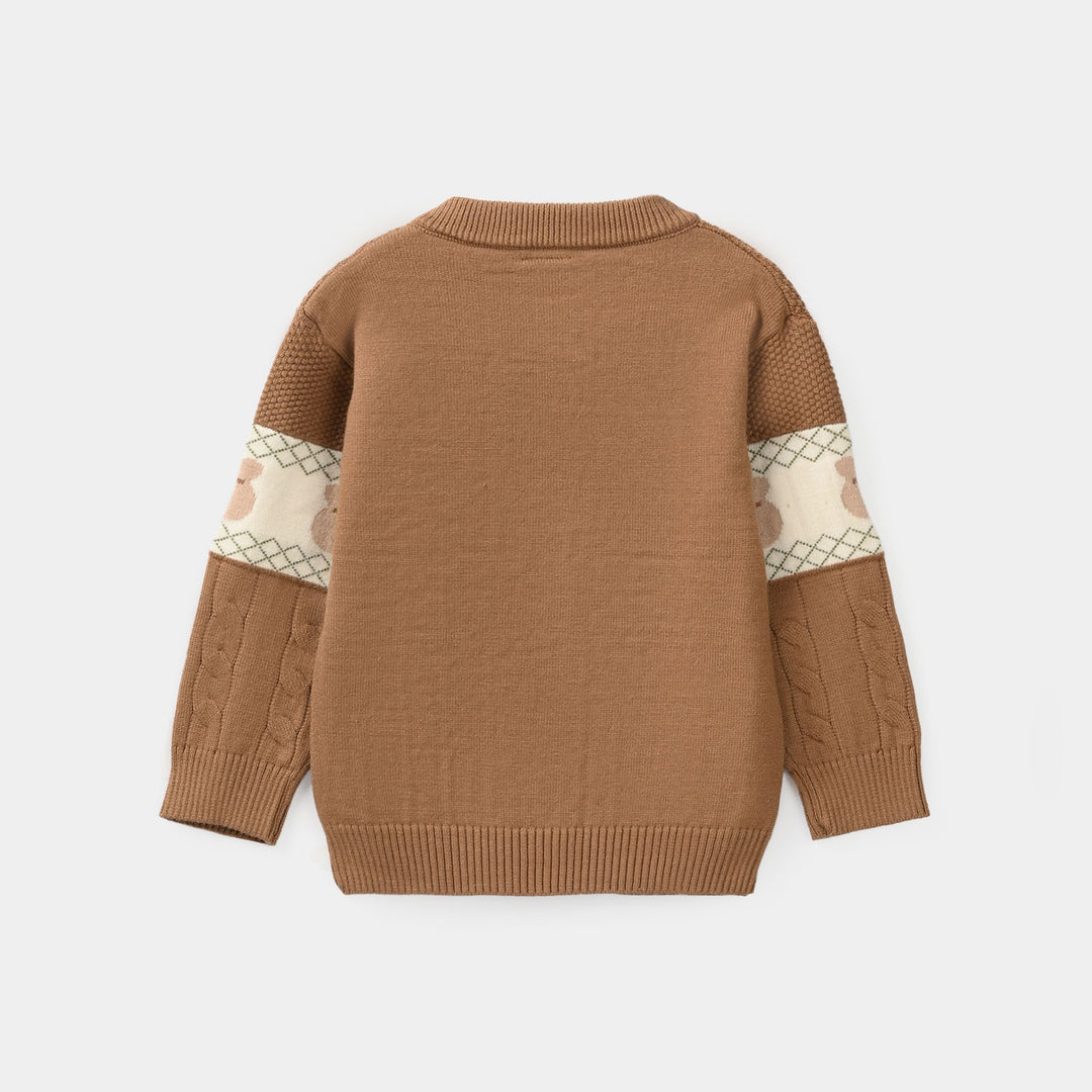 Infant Boys Acrylic sweater-Textured Bear-BROWN