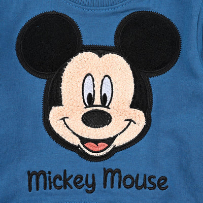 Infant Boys Cotton Terry Sweatshirt Character