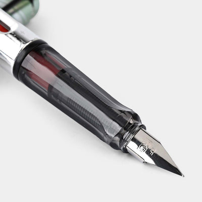 Stylish Fountain Ink Pen With Plastic Case