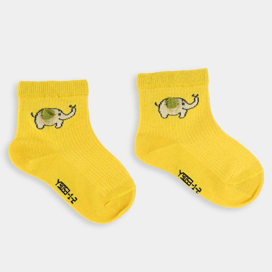 Rib Unisex Socks-6M+