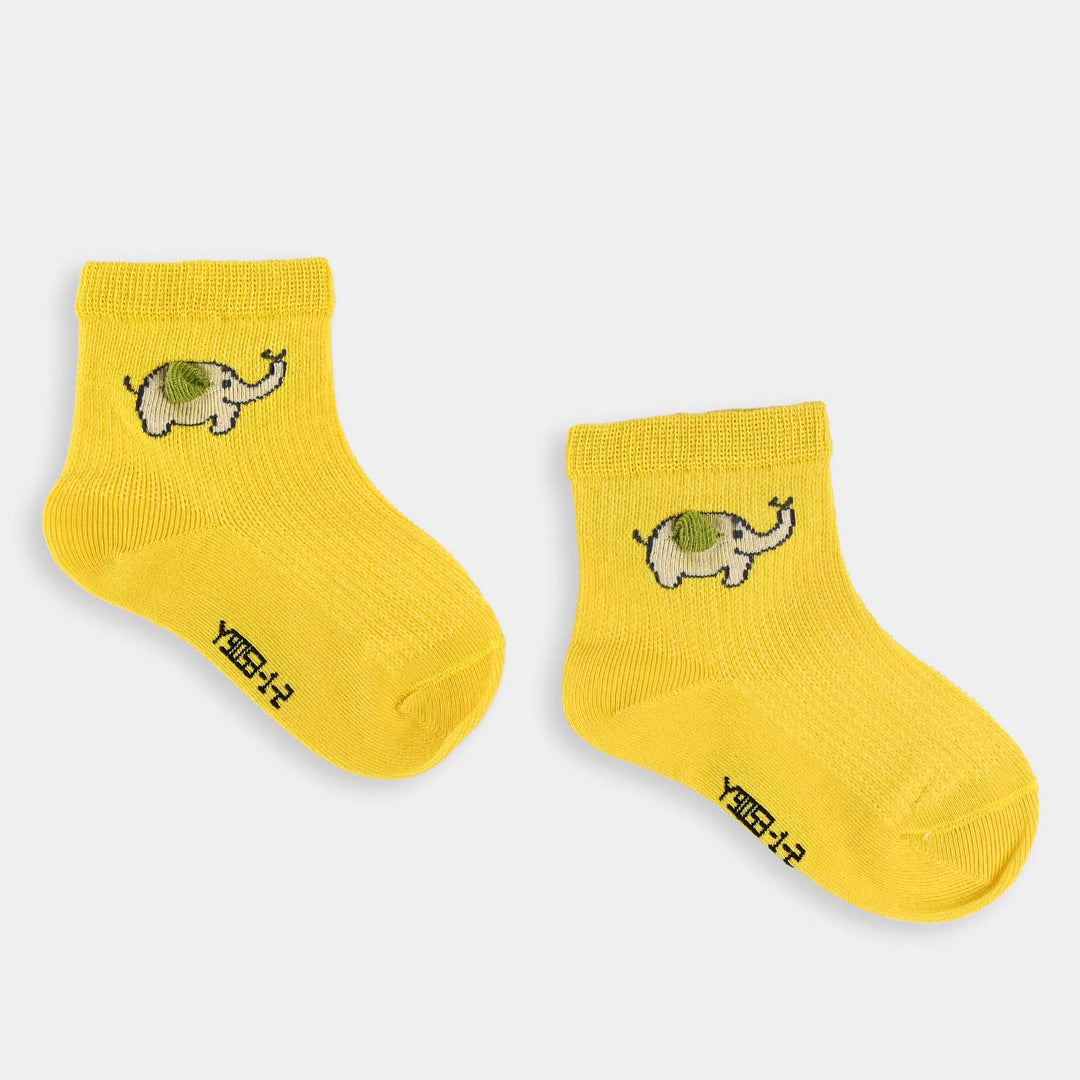 Rib Unisex Socks-6M+