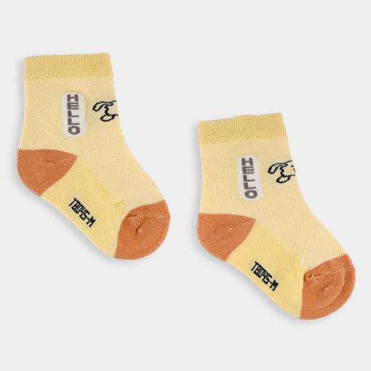 Rib Unisex Socks-6M+