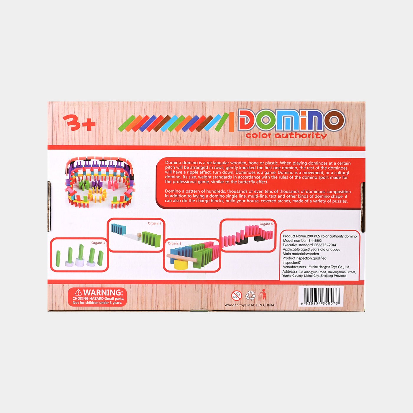 Domino Set for Kids Building Wooden Blocks | 200Pcs