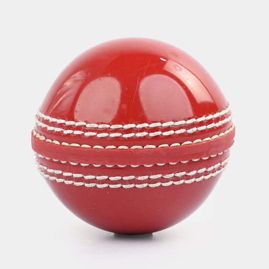 Training & Practice Cricket Ball