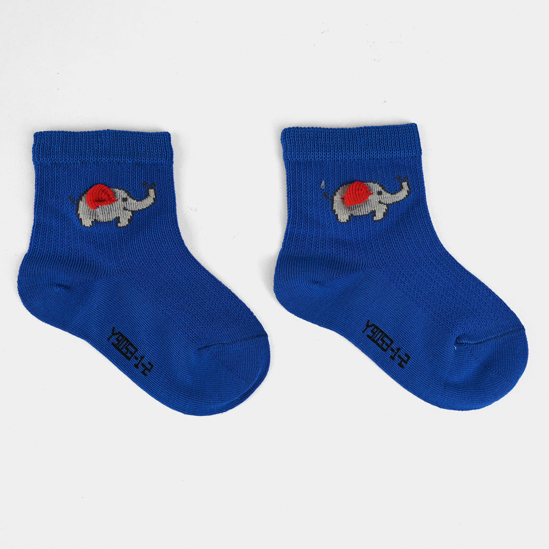 Rib Unisex Socks-6M+