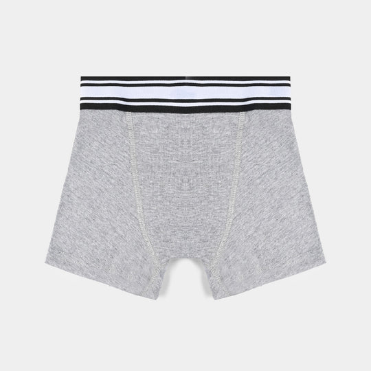 Boys Cotton Jersey Boxer Pack of 2 Basic-Heather Grey