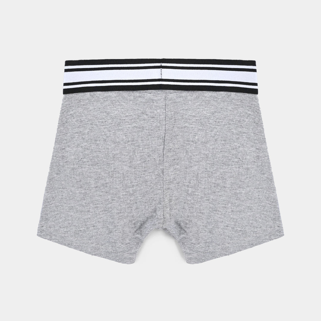 Boys Cotton Jersey Boxer Pack of 2 Basic-Heather Grey