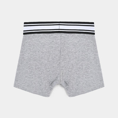 Boys Cotton Jersey Boxer Pack of 2 Basic-Heather Grey