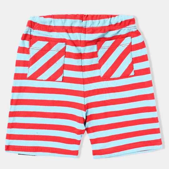 Infant Boys Cotton PK Knitted Short Score Again-F. Scarlet