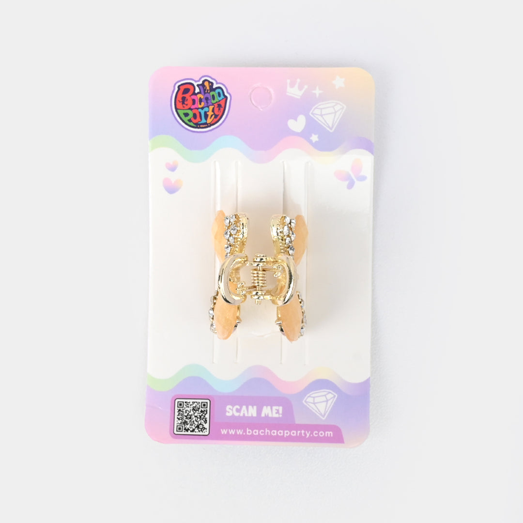 Fancy Hair Catcher/Claw Clip