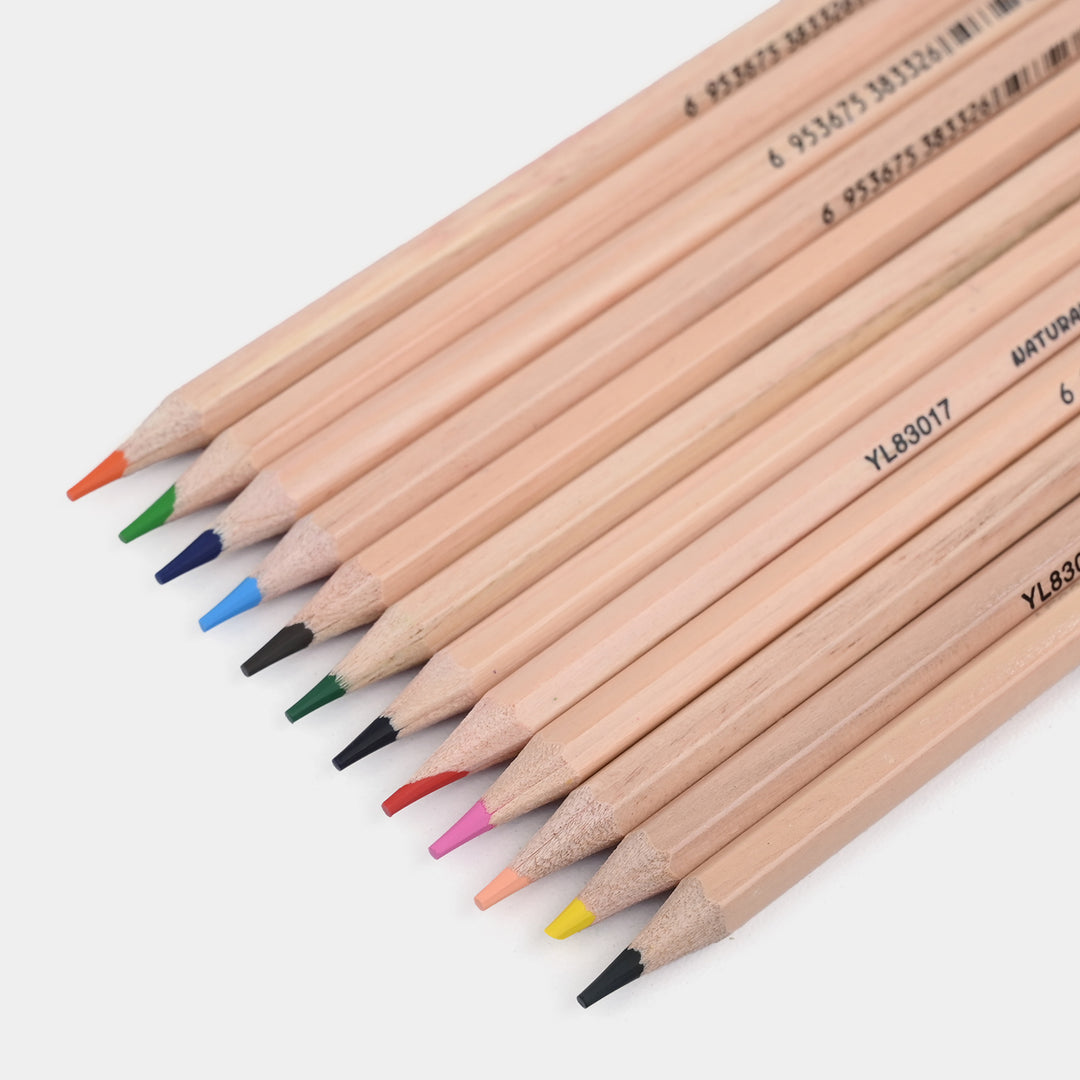 Color Pencil Set | 12Pcs
