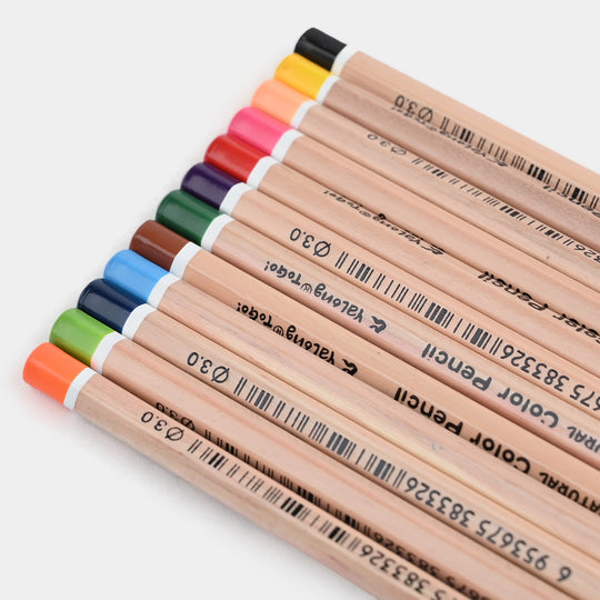 Color Pencil Set | 12Pcs