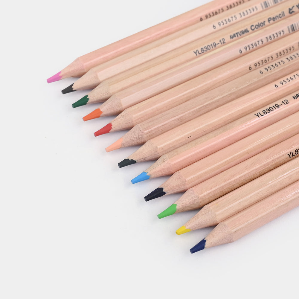 Color Pencil Set | 12Pcs