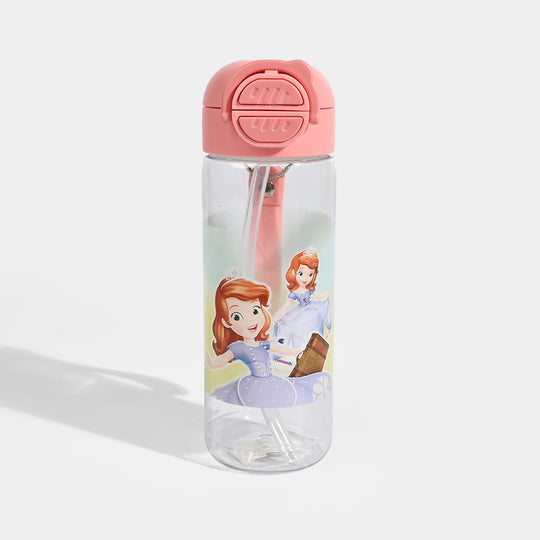 Character Water Bottle (Plastic) | 500Ml