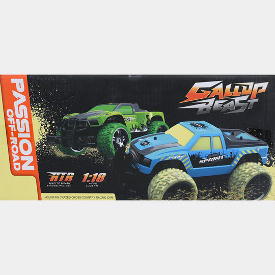 OFF Road Sprint Car R/C For kids