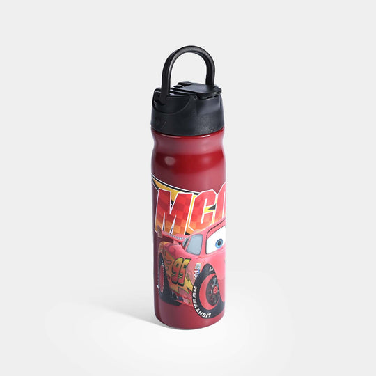 WATER BOTTLE STAINLESS STEEL | 500ML