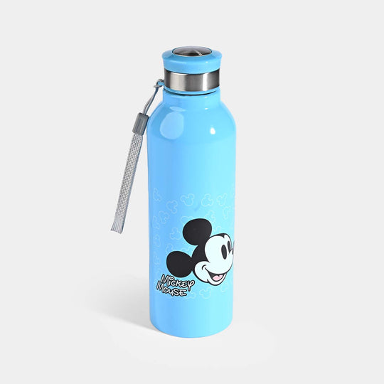 WATER BOTTLE STAINLESS STEEL