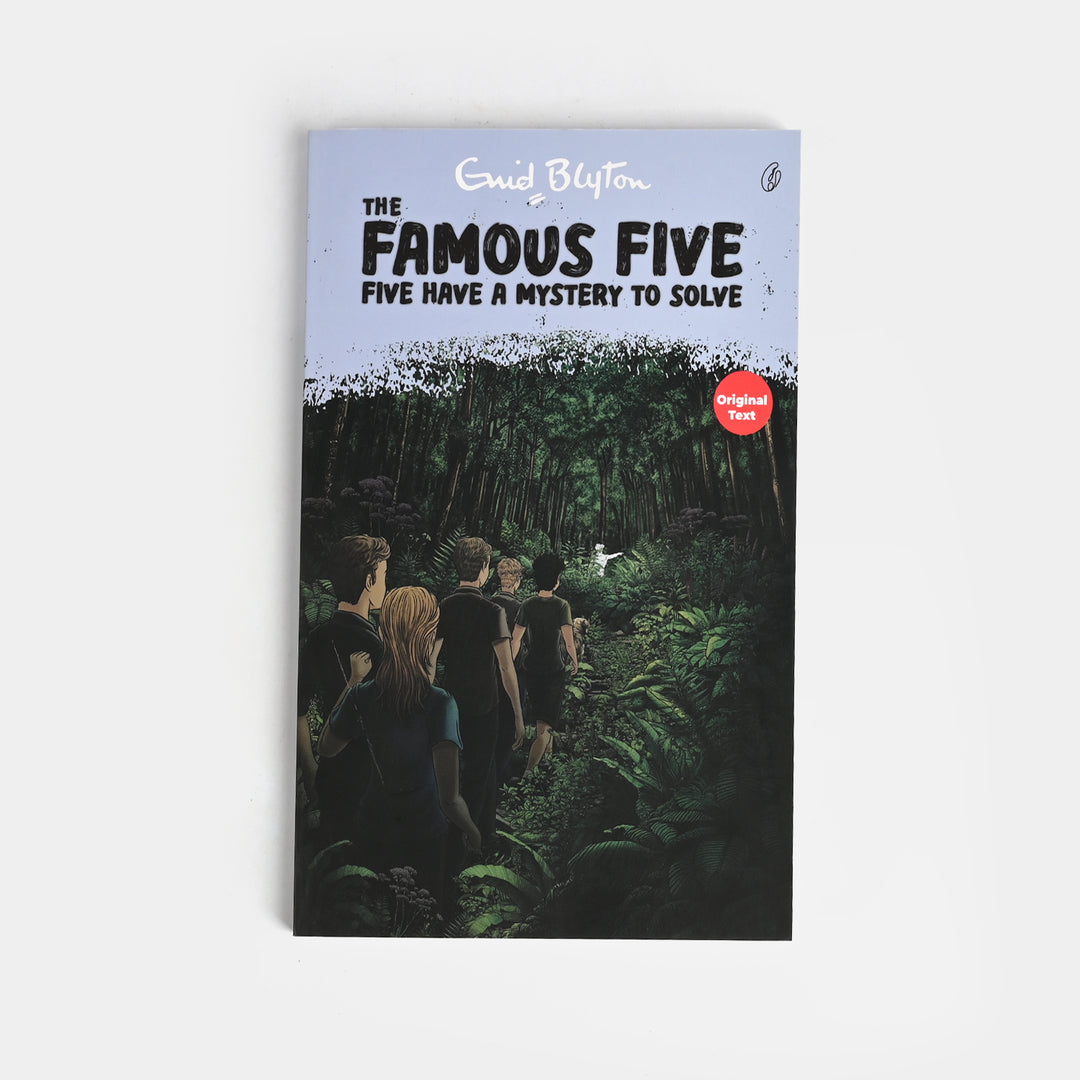 Five Have A Mystery To Solve Storybook for Kids