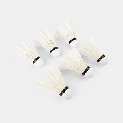 Badminton Shuttlecock Weinixun 60