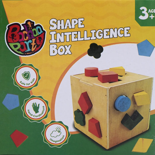 Multi Shape Intelligence Box Wooden Set