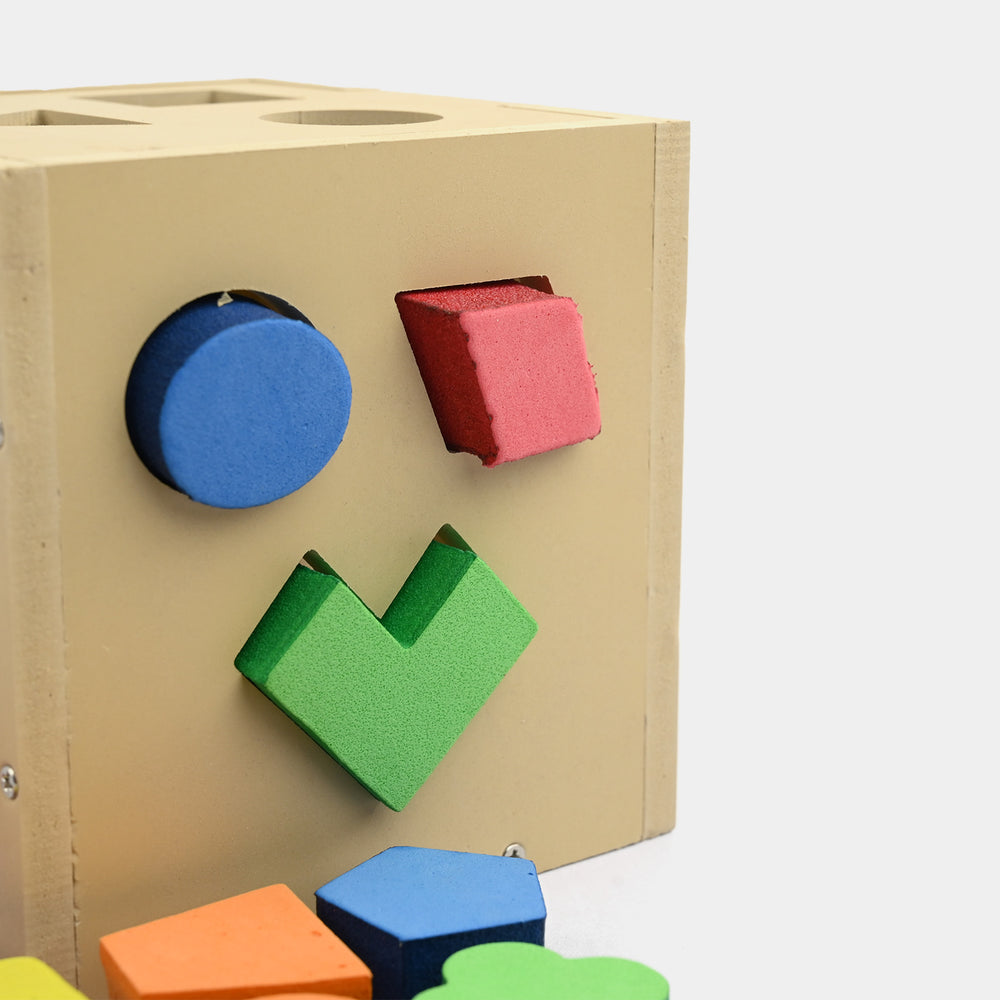 Multi Shape Intelligence Box Wooden Set