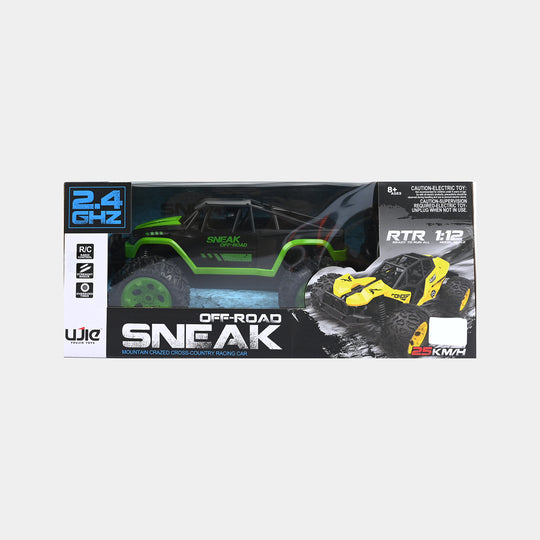 Off-Road Sneak 1:12 Scale RC Racing Car