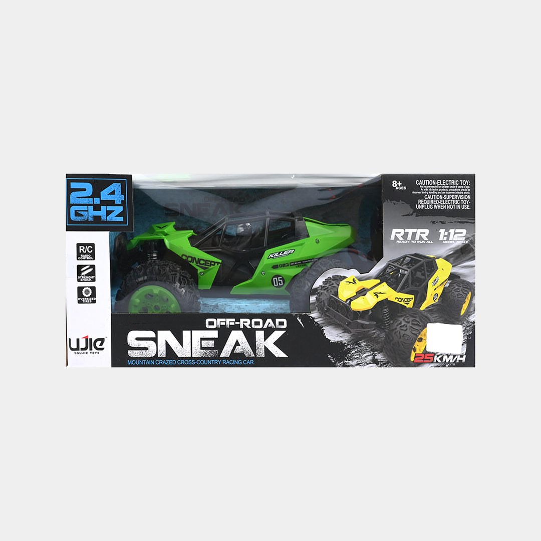 Off-Road Sneak 1:12 Scale 2.4GHz RC Racing Car