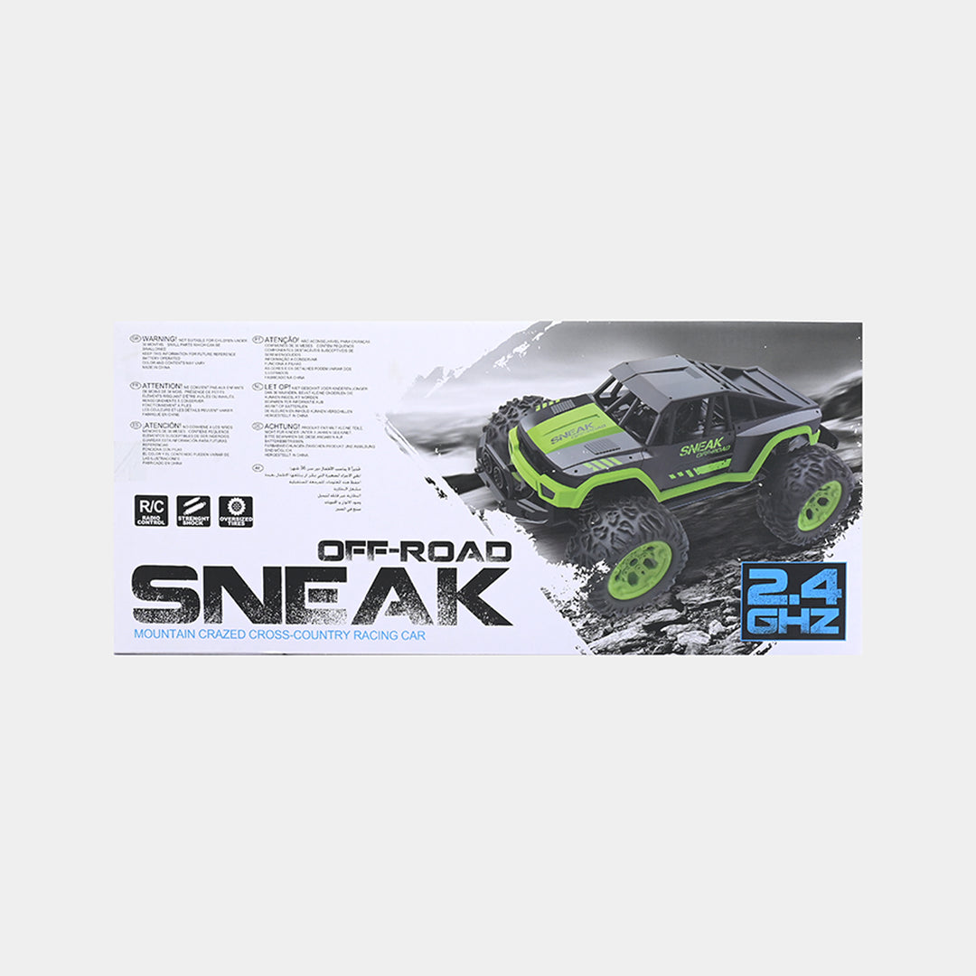 Off-Road Sneak 1:12 Scale 2.4GHz RC Racing Car