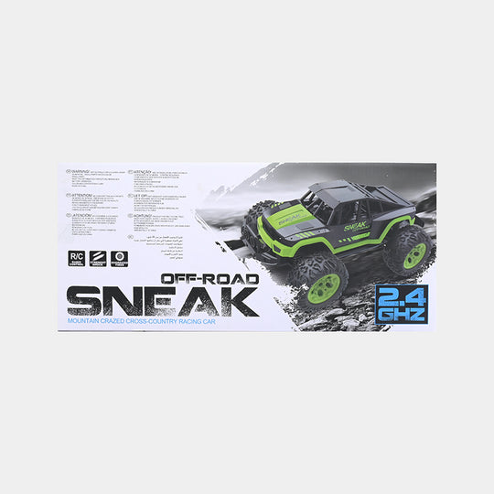 Off-Road Sneak 1:12 Scale 2.4GHz RC Racing Car