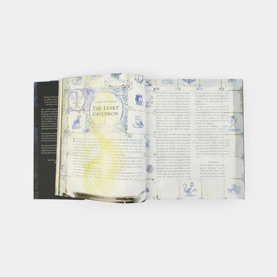 Character  Novel Book