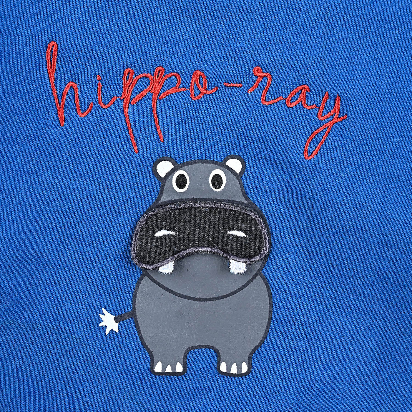 Infant Boys Cotton Terry Sweatshirt Hippo Day-Blue