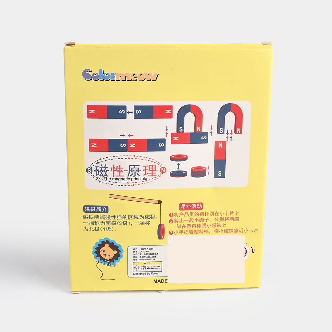 Educational Magnetism Science Experiment Kit
