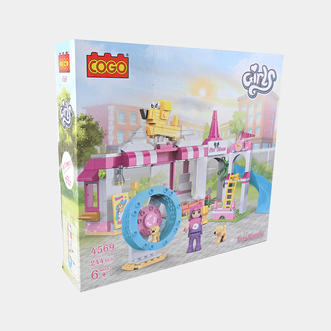 Play & Learn Building Blocks Set | 244PCs