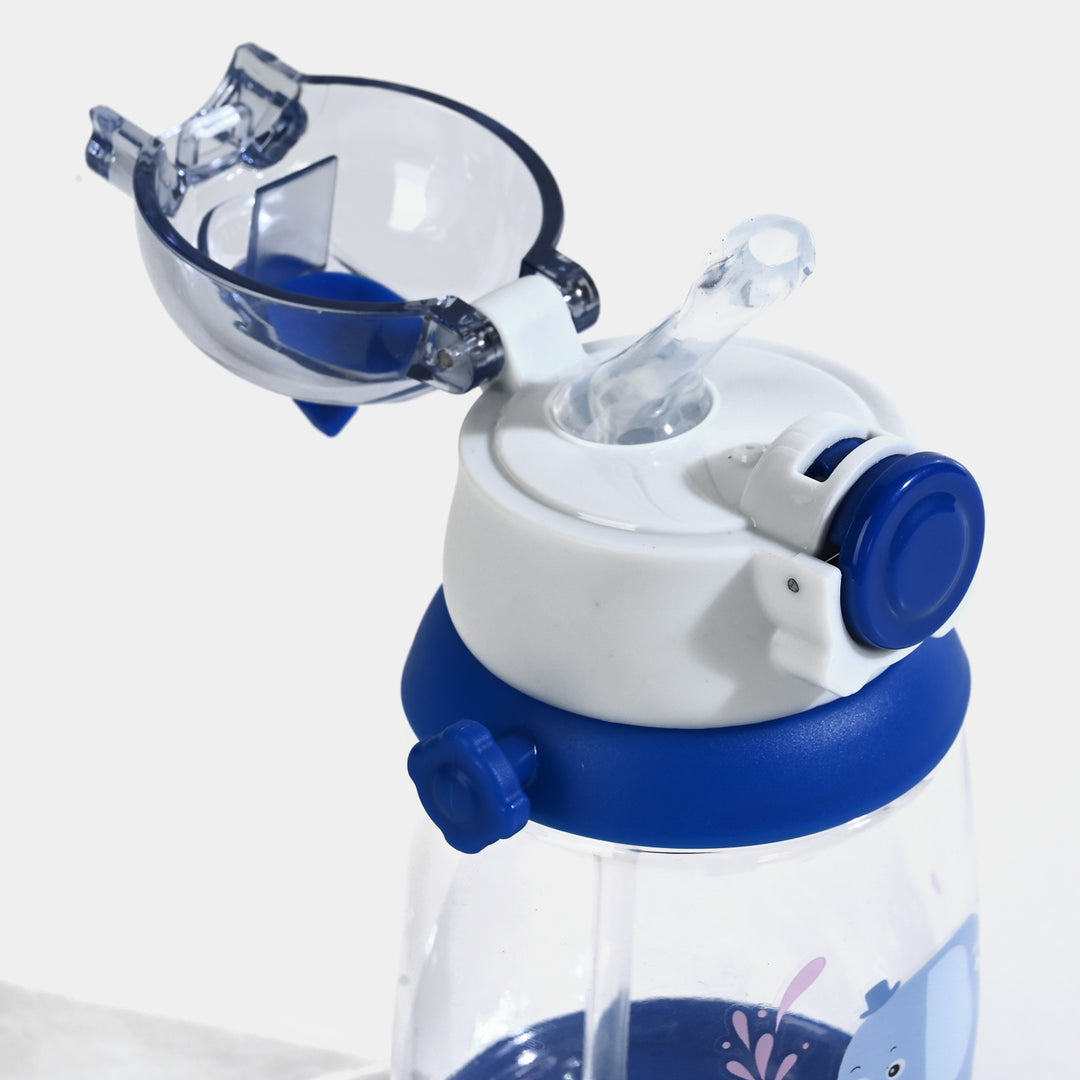 Water Bottle | 520ml