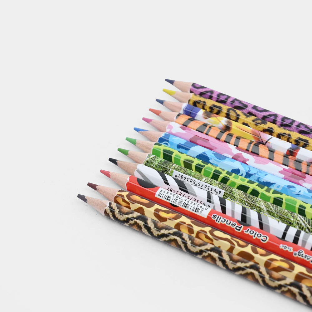 Color Pencil Set | 12Pcs