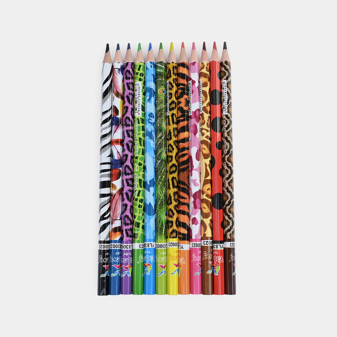 Color Pencil Set | 12Pcs