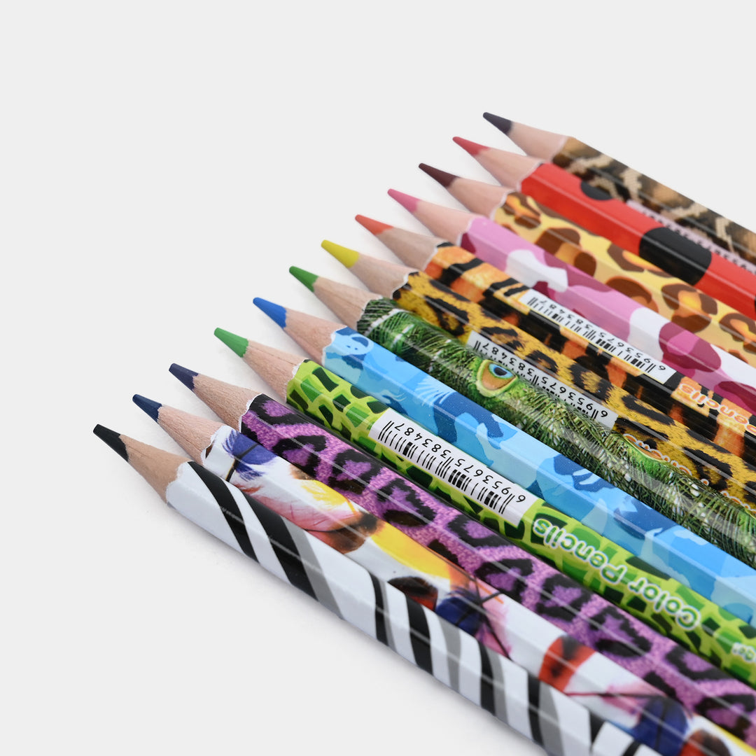 Color Pencil Set | 12Pcs
