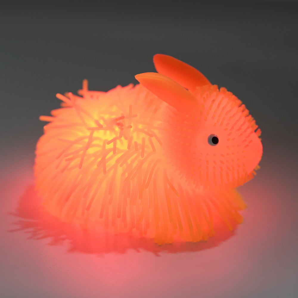 Light-Up Squishy Puffer Sensory Toy